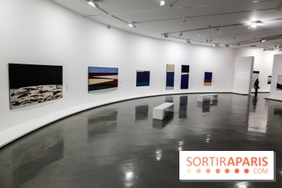 Anna-Eva Bergman, nos photos de l'expo à Paris