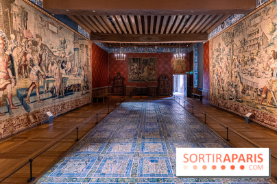 Château d'Écouen - Musée national de la Renaissance  -  A7C8539 HDR