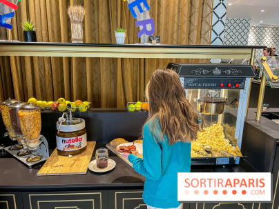 Dream Castle Hôtel, le 4**** familial à côté de Disneyland - 2C836D5B 3109 49EA 8CCA F008E8500A5B