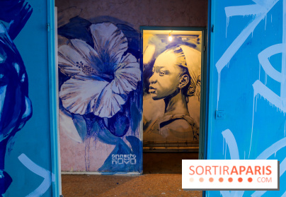 Festival Planète Périphérique à Paris, nos photos - 3 IMG 9635