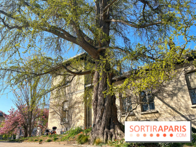 Le Jardin des Serres d'Auteuil - IMG 1492