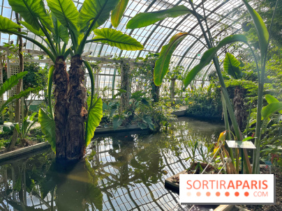 Le Jardin des Serres d'Auteuil