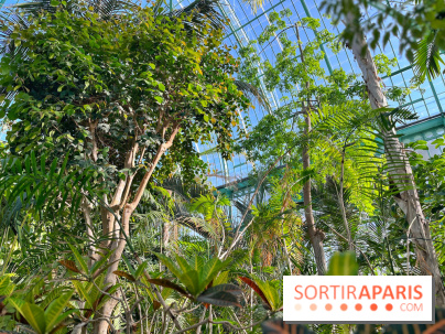 Le Jardin des Serres d'Auteuil - IMG 1552