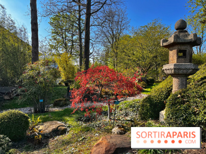 Le Jardin des Serres d'Auteuil - IMG 1556