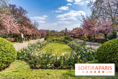 Parc de Bécon à Courbevoie - Pavillon des Indes - Cerisiers en fleurs -  A7C0020