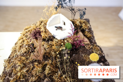 Paris Animal, nos photos de l'expo à Paris - IMG 9769