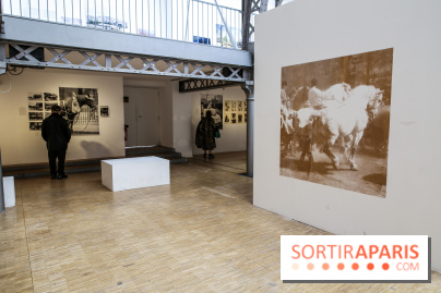 Paris Animal, nos photos de l'expo à Paris - IMG 9786