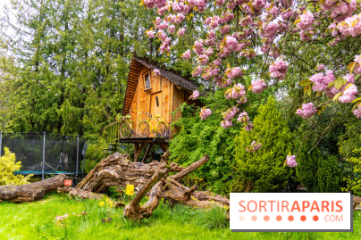 Le Moulin jaune - Hanami 2023