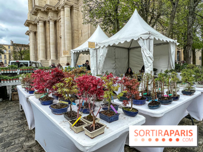 Esprit Jardin à Versailles - Marché aux plantes et animations