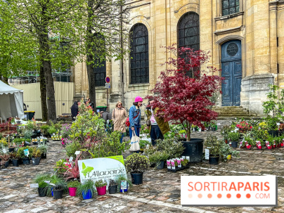 Esprit Jardin à Versailles - Marché aux plantes et animations  - IMG 6090