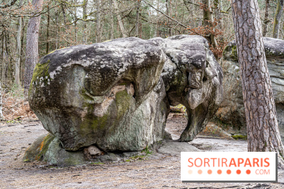 Barbizon, le village entre art et nature  -  A7C7535