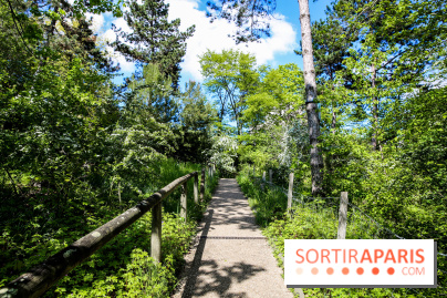 Parc André Malraux à Nanterre, nos photos - IMG 9730