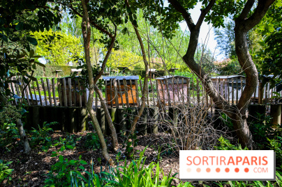 L'île de la Jatte, nos photos - IMG 9711