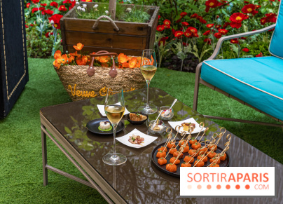 La terrasse cachée du Joy à l'Hôtel Fouquet's 2023 : le jardin de coquelicots - A7C2762