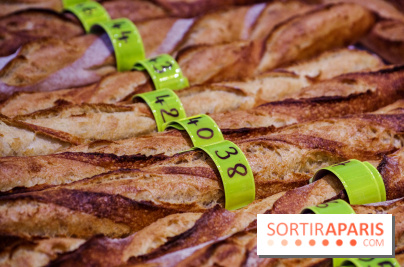 Concours de la meilleure baguette de Paris 2023 - Visuel baguette pain