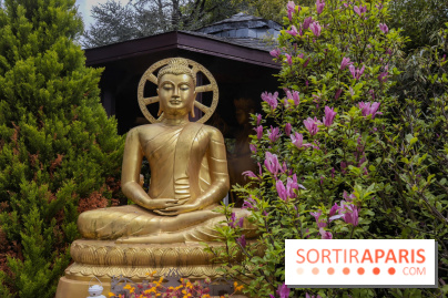 Wat Thammapatip Inrernational : la pagode bouddhiste et sa street food thaï, à Moissy-Cramayel - 8A0BB601 A591 4155 9363 62CE76412A10