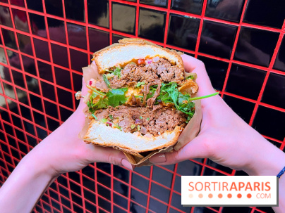 Alfi - Sandwich effiloché bœuf