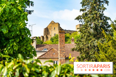 Le Château de la Madeleine à Chevreuse - A7C3890