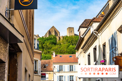 Le Château de la Madeleine à Chevreuse - A7C3914