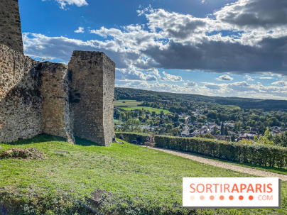 Le Château de la Madeleine à Chevreuse - IMG 8934