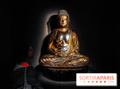 Médecines d'Asie, l'art de l'équilibre : l'exposition bien-être étonnante du musée Guimet - photos - IMG20230516110020