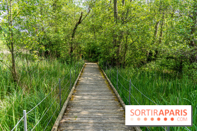 Sentier découverte de Maincourt - Vallée de Chevreuse - A7C4080
