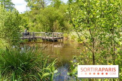 Sentier découverte de Maincourt - Vallée de Chevreuse - A7C4081