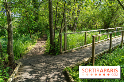 Sentier découverte de Maincourt - Vallée de Chevreuse - A7C4086