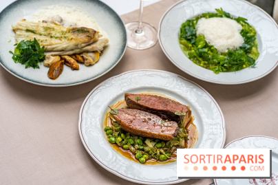 Les Caryatides restaurant de l'Hôtel Alfred Sommier - A7C3338