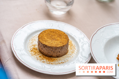 Les Caryatides restaurant de l'Hôtel Alfred Sommier - A7C3357