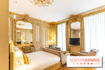 Hotel Alfred Sommier Paris - A7C3304