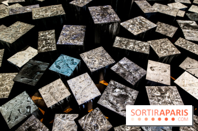 Carte blanche à Park Dong Soo au musée Guimet, nos photos - IMG 0104