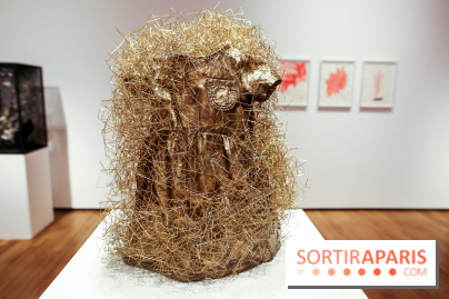 Expo Memory Under The Skin de Chiharu Shiota à Paris, nos photos - IMG 0131