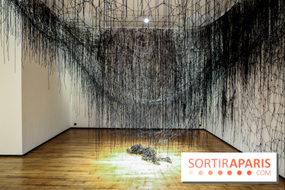 Expo Memory Under The Skin de Chiharu Shiota à Paris, nos photos - IMG 0154