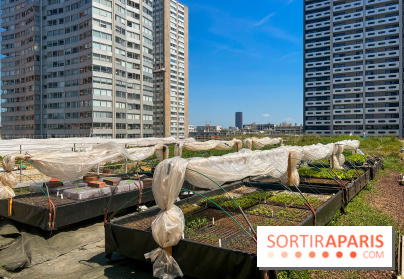 Les toits de Beaugrenelle