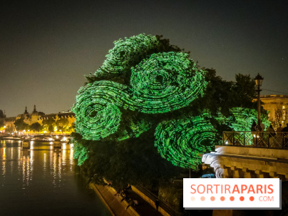 Nuit Blanche 2023 : des projections lumineuses magiques au Square du Vert Galant de l'Île de la Cité