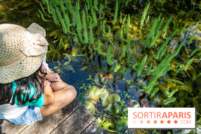 Sonja's Gardens in Perray-en-Yvelines - A7C5001