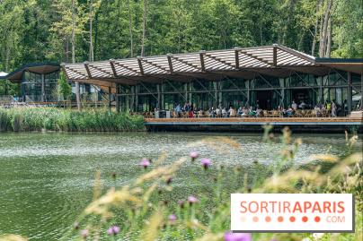 Perchoir Y, restaurant par Guillaume Sanchez et guinguette en forêt