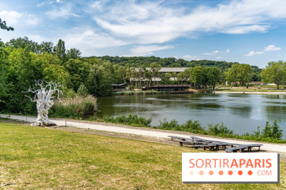 Perchoir Y, restaurant par Guillaume Sanchez et guinguette en forêt - A7C5871