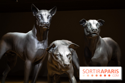 Exposition Ron Mueck à la Fondation Cartier 2023 - A7C6437