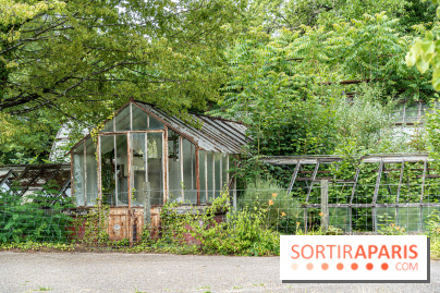 Jardin d'Agronomie Tropicale, le jardin exotique à Paris -  A7C6858