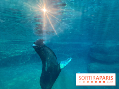 Nocturnes au Parc Zoologique de Paris - IMG 3469