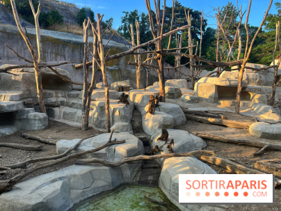 Nocturnes au Parc Zoologique de Paris