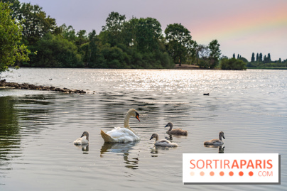 Base de loisirs de Saint-Quentin-en-Yvelines - Ile de loisirs de Trappes - activités - 295A94D4 9EFB 4FD4 9F1C 55C2E2224F4E
