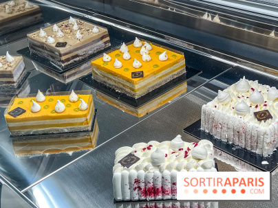 Le glacier Gérard Taurin à Paris - Meilleur Ouvrier de France - IMG 8731