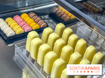 Le glacier Gérard Taurin à Paris - Meilleur Ouvrier de France - IMG 8732