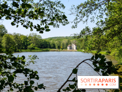 Balade nature dans la forêt de Montmorency, nos photos