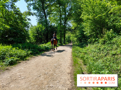 Balade nature dans la forêt de Montmorency, nos photos