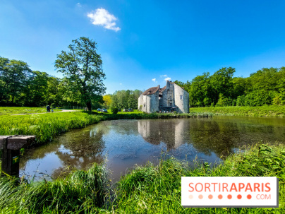 Balade nature dans la forêt de Montmorency, nos photos