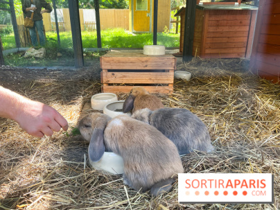 La ferme de la Villette et ses animaux